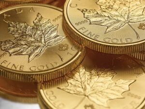 Read more about the article 20 грешки и често срещани заблуди на начинаещия инвеститор в златни кюлчета и монети