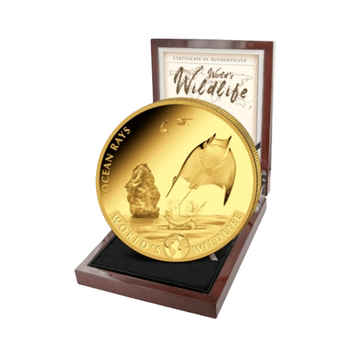 5 унции златна манта конго 2023 монета в дървена кутия